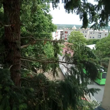 D10 Apartman *